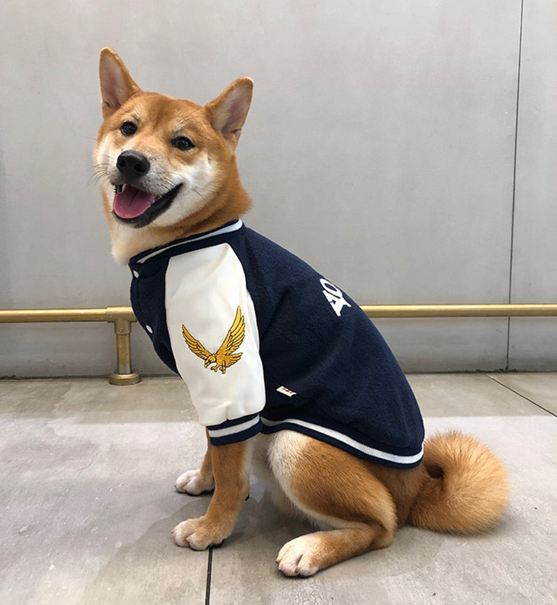 Pull Université pour Chien - Style Coréen Bouledogue