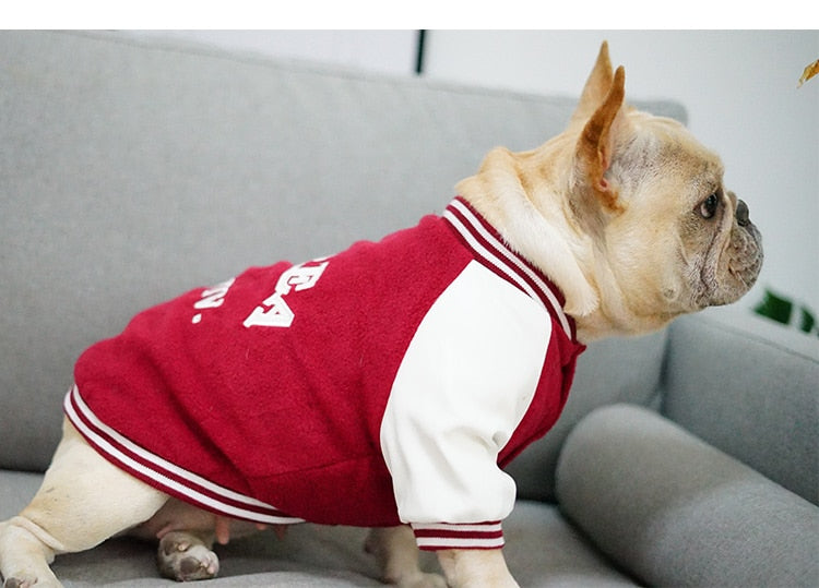 Pull Université pour Chien - Style Coréen Bouledogue