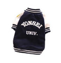 Pull Université pour Chien - Style Coréen Bouledogue