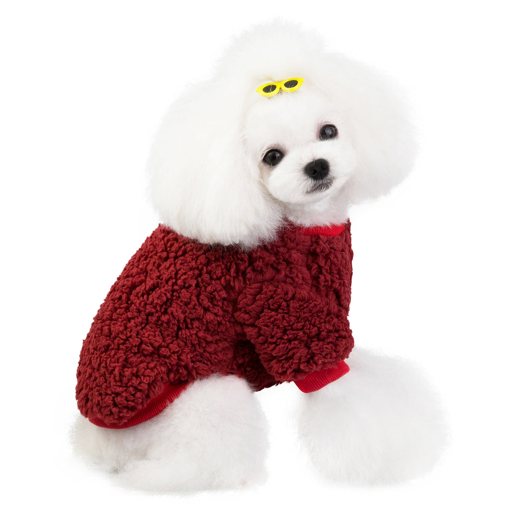 Vêtement pour Chat et Chien - Tenue Fashion pour Animal
