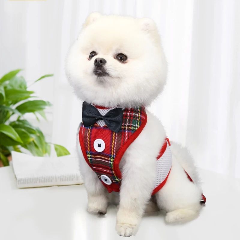 Harnais Laisse Gilet pour Chien - Petite et Moyenne Race