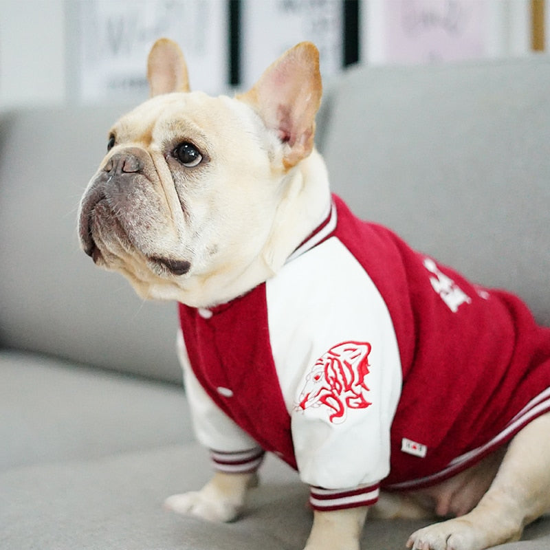 Pull Université pour Chien - Style Coréen Bouledogue