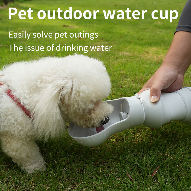 Gourde Pliable Silicone 550ml pour Chien - Distributeur d'Eau